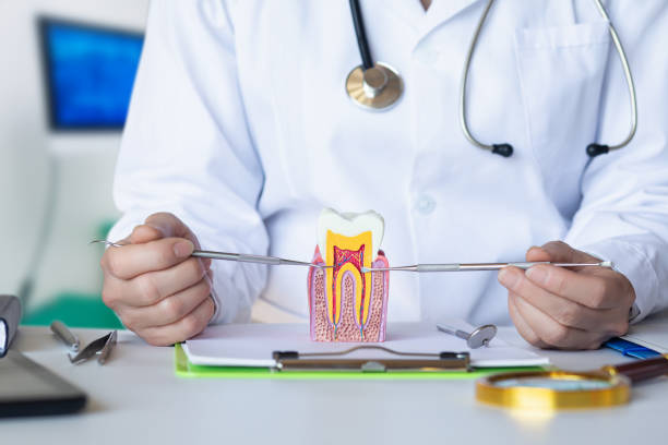 Best Urgent Dental Care for Toothaches in Choccolocco, AL
